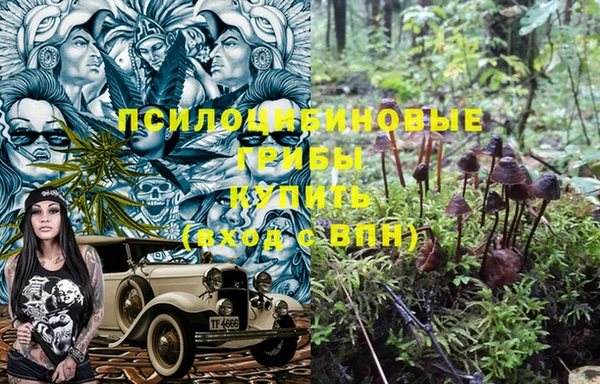 MESCALINE Покачи