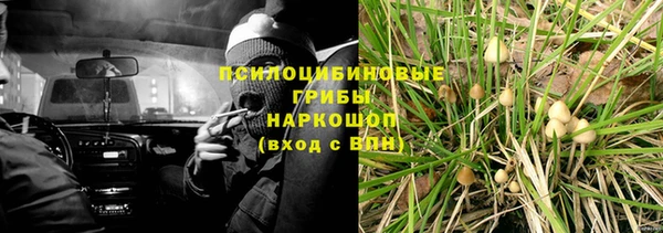 прущие крисы Покровск