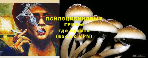 бошки Приозерск