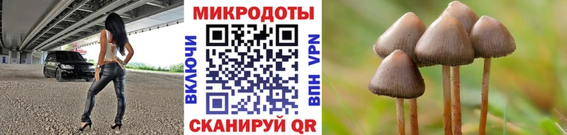 как найти закладки  Анадырь  Галлюциногенные грибы ЛСД 